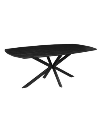 Eettafel Deens ovaal zwart 220 cm.
